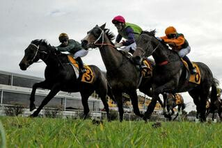 Longchamp (NZ) becomes the first horse to win the Listed Opunake Cup twice. Photo: Race Images Palmerston North
